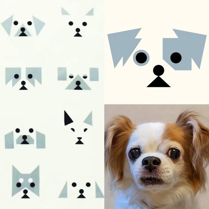 E08016b3 db24 472f 961b e2f3d1bd21a3 1724282734992