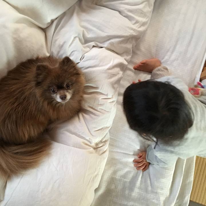 E0802a1a ab5c 4880 8592 60446f3727c3 1516508690254