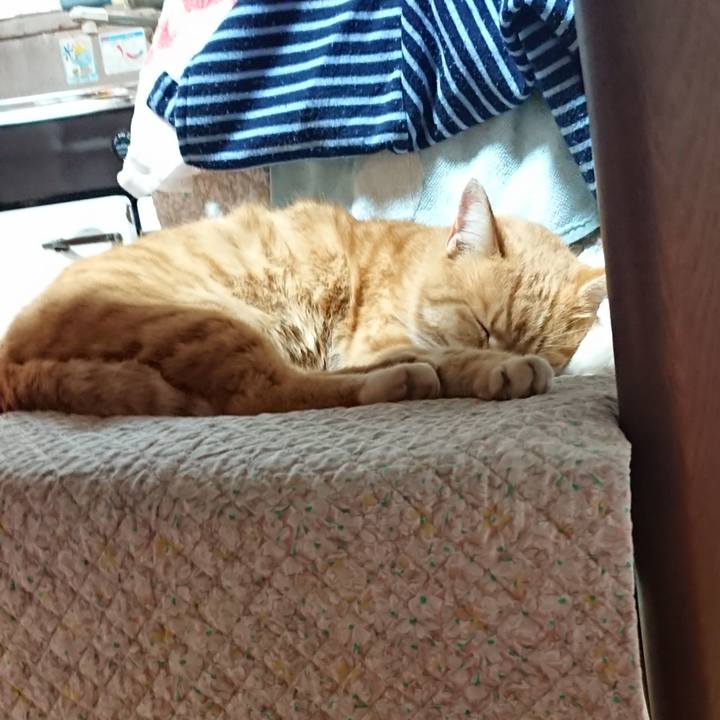 E0803481 9713 4015 864b 3baada2db57e 1606110490366