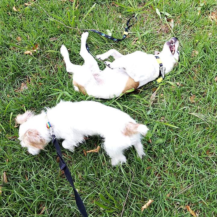 E08042c6 5c03 4507 b7b4 9256e3dab68a 1537080772576