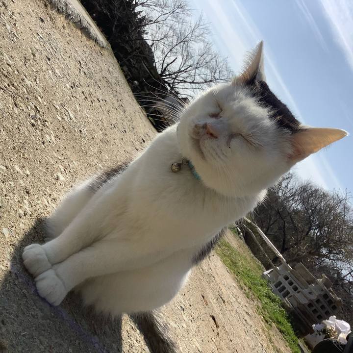 E08055f4 768b 418b 8429 e29f8352bb91 1615121619332