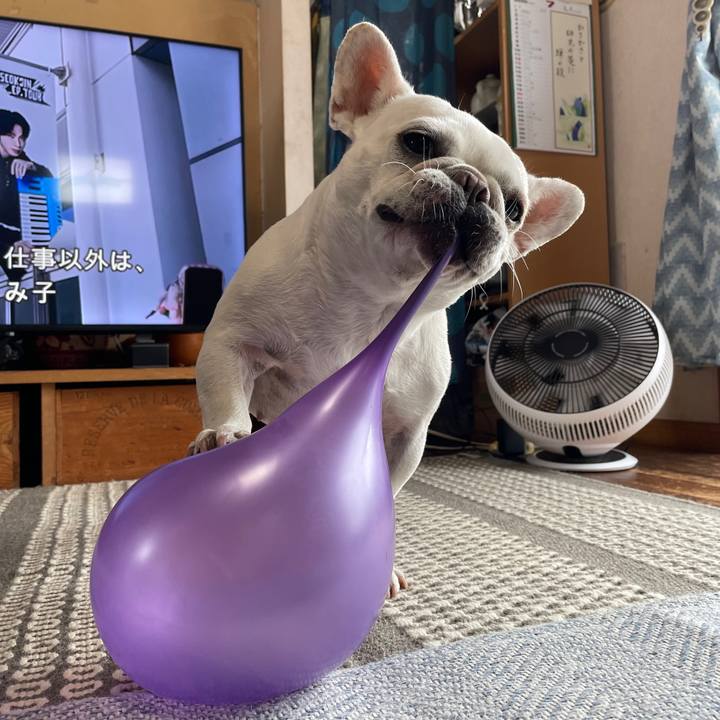 E080589c 84c8 4117 beab 7463dda25935 1752718425002