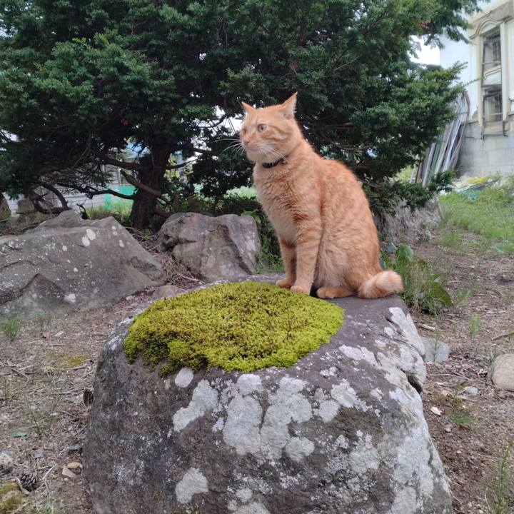 E0805e59 0dfa 4166 9ce4 2104c1010af1 1694168364005