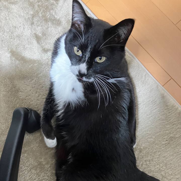 E0807afa 995f 4cfa 8d91 2893fe96f087 1681184397960