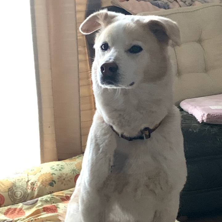 E080882e 1e62 4750 9152 64d9bbfa4dcb 1645425423725