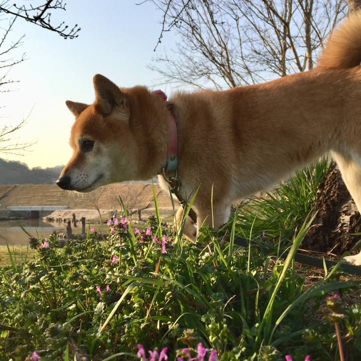 E0808e31 5153 4565 acca 3702258506b8 1521014980476