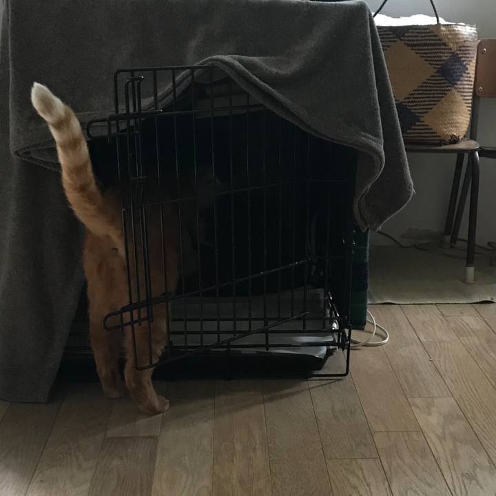 E080a8b4 479d 47d2 a678 903add20d11d 1578470468982