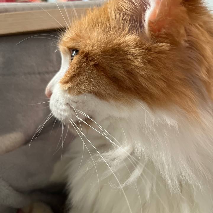 E080b880 6f2c 495d 92f4 10d8981b7f1e 1635469702098