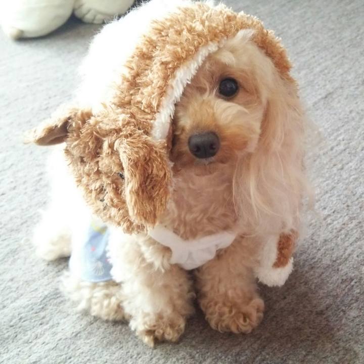 E080f49f 932e 4acc abef 020c2b6bfccb 1537961544924