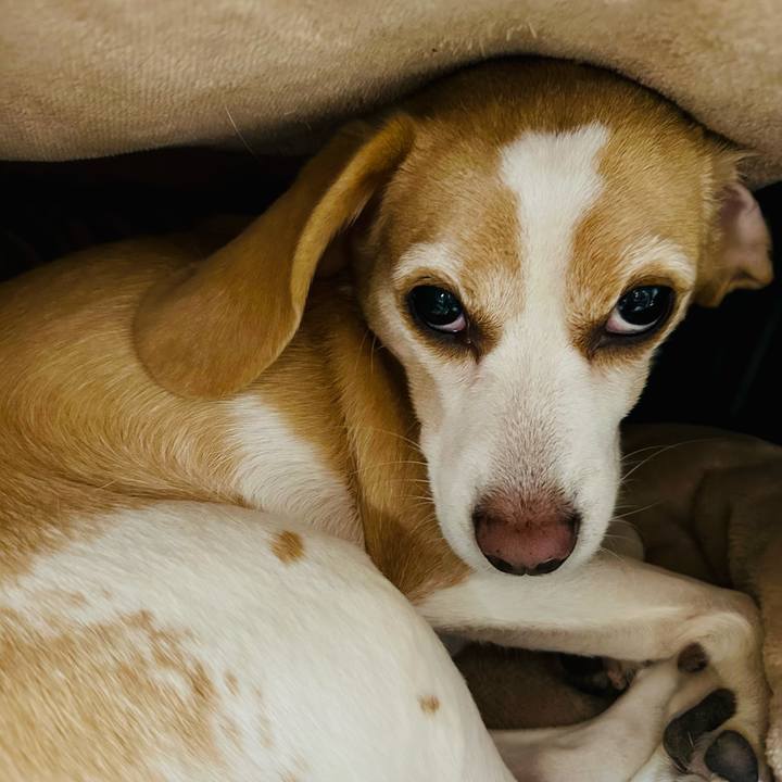 E081179e 7610 40f6 b0a5 ae6ed4b12c5d 1673399116815