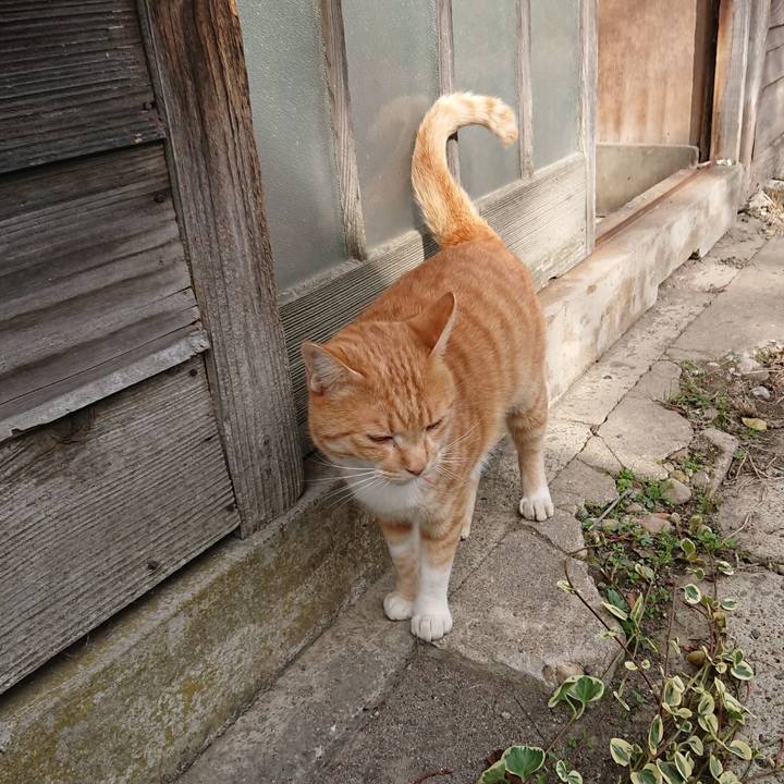 E0811d89 f42d 4844 832c 9becb2266edf 1572755559195