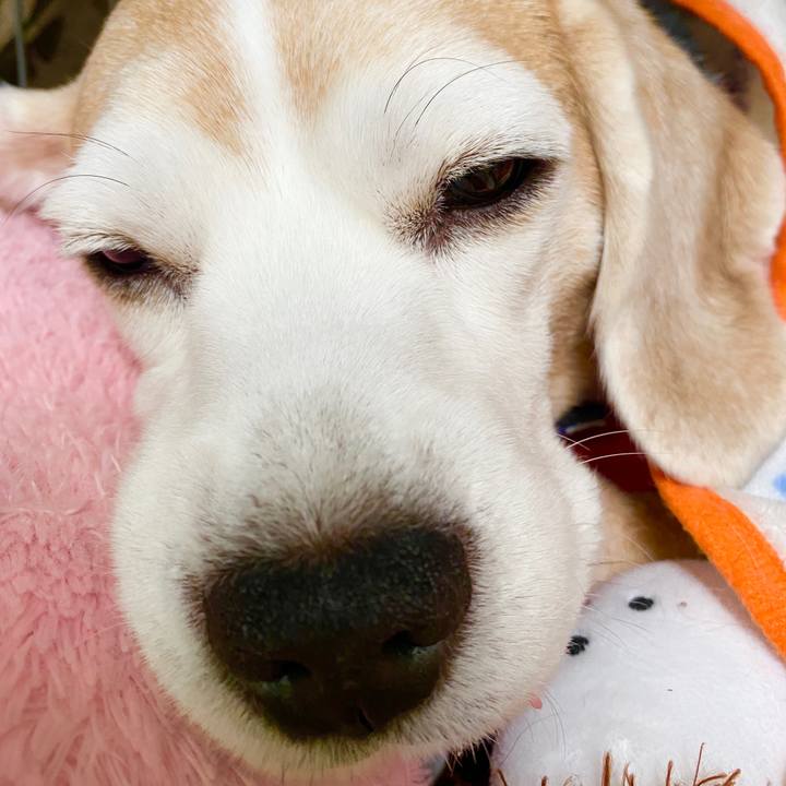 E0812e0f 955d 4173 8525 bff188724ec1 1586489579168