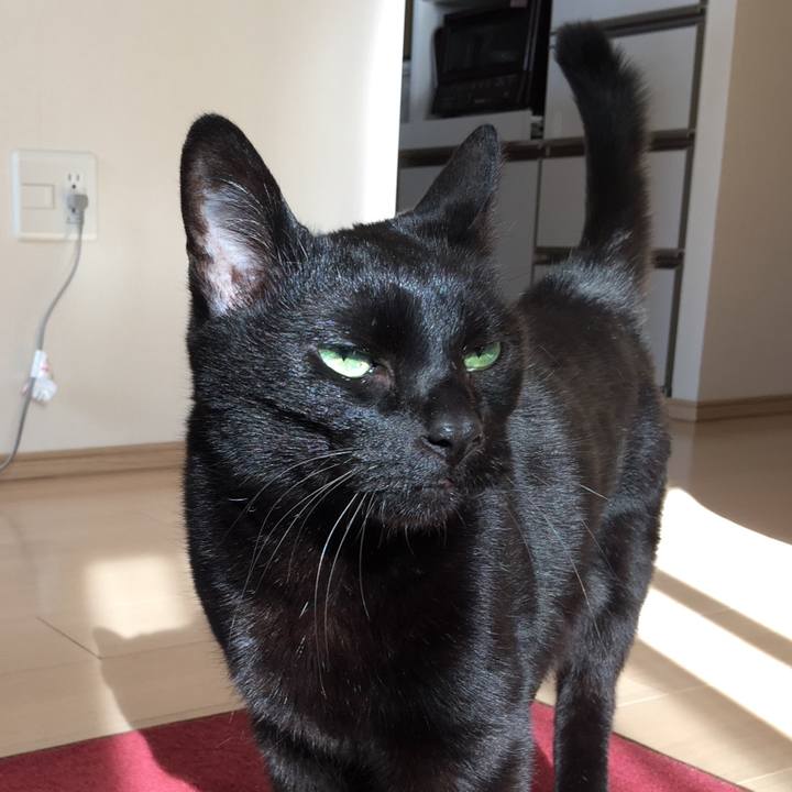 E0813a0c a4a6 4354 8e61 de1287be3ada 1514955133593