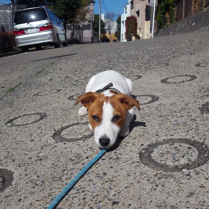 E08158c3 0bdd 4c4d bc00 0e409f0241c3 1552873354943