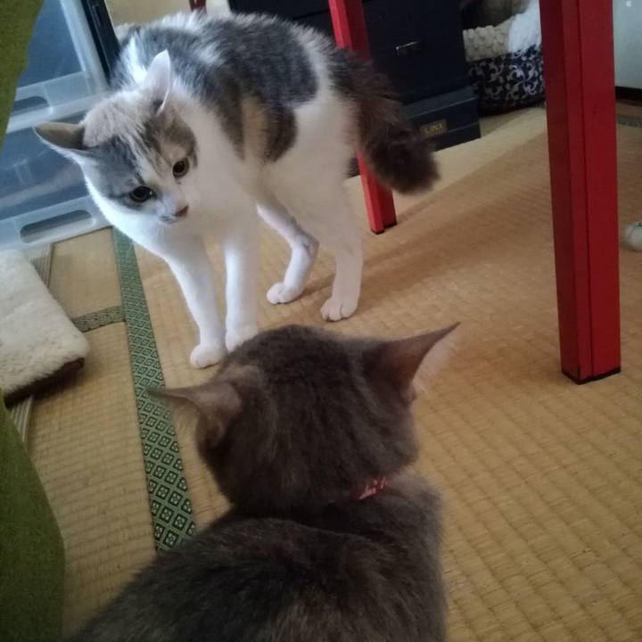 E081a565 b563 42fb 914c b9dcc26755db 1543394074261