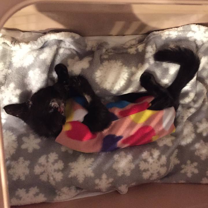 E081ac23 4980 493d 9b86 1b33bee59b43 1532871634713