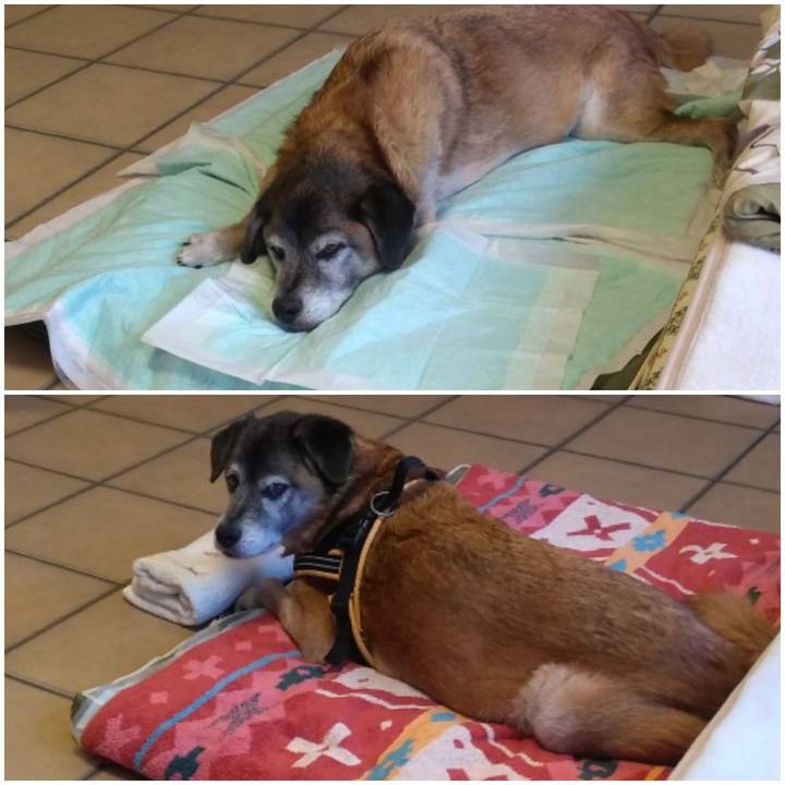 E081bb8f daca 4d4d 8f49 fed647390e50 1575424869255