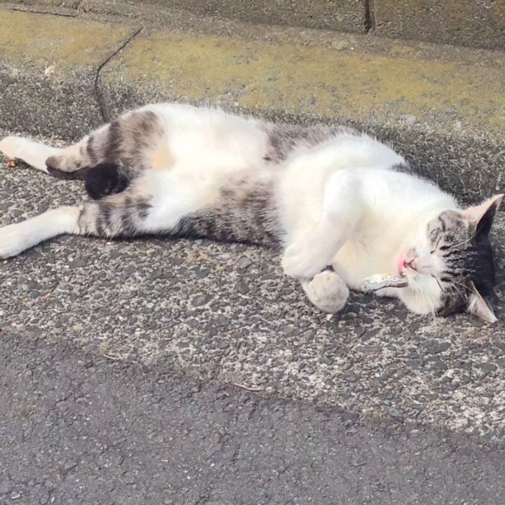 E081c571 2372 4cce a7f7 1adf58aada5a 1614995129339