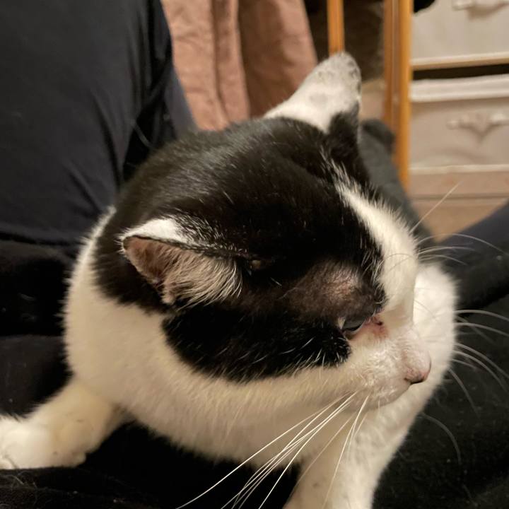 E081ce7b 6fce 4a49 9725 910be4f9d7ae 1716472531877