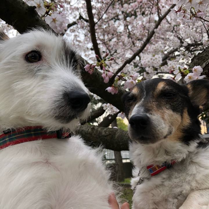 E082169d b9d1 43cd 9096 ec5de23f3049 1586000485112