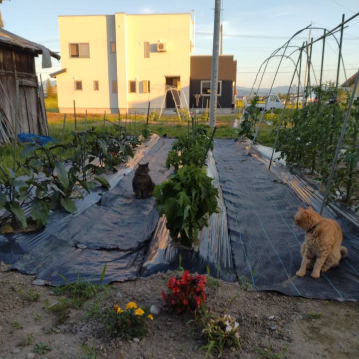 E0821f03 c6da 410d 8ee9 b58448b26b19 1687256626116