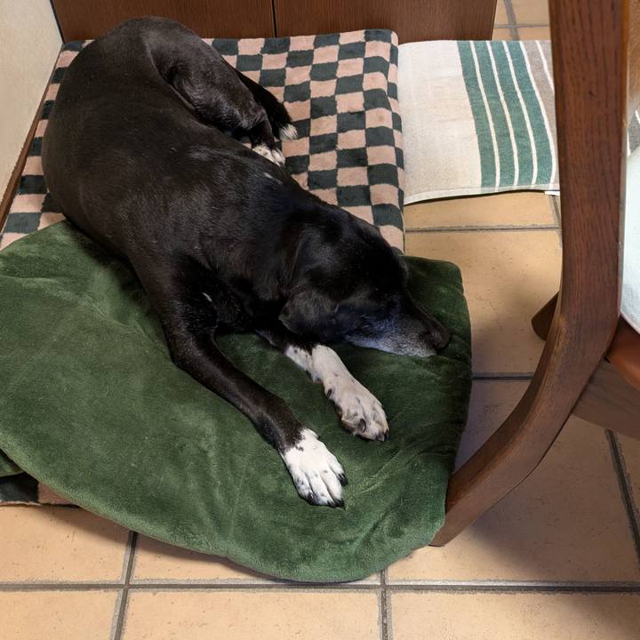 E0822306 1970 4b5b bde8 0d0c7be8a688 1773870820591