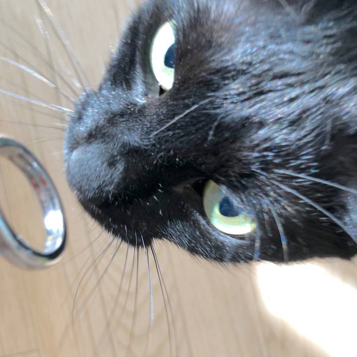 E0824d4b a4e7 4cae a002 a49d40fb9788 1527904655011