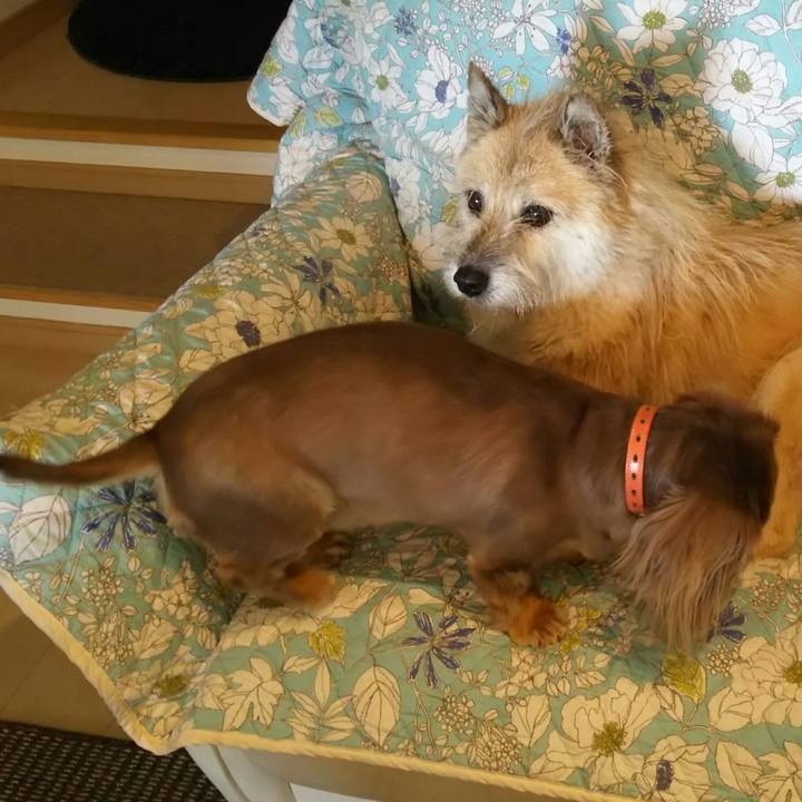 E0825b9f 113c 4d6b bc66 56441a49ccec 1533438754485