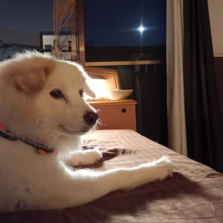 E0825f8c f185 4584 8e4e c2773468921f 1726567486364