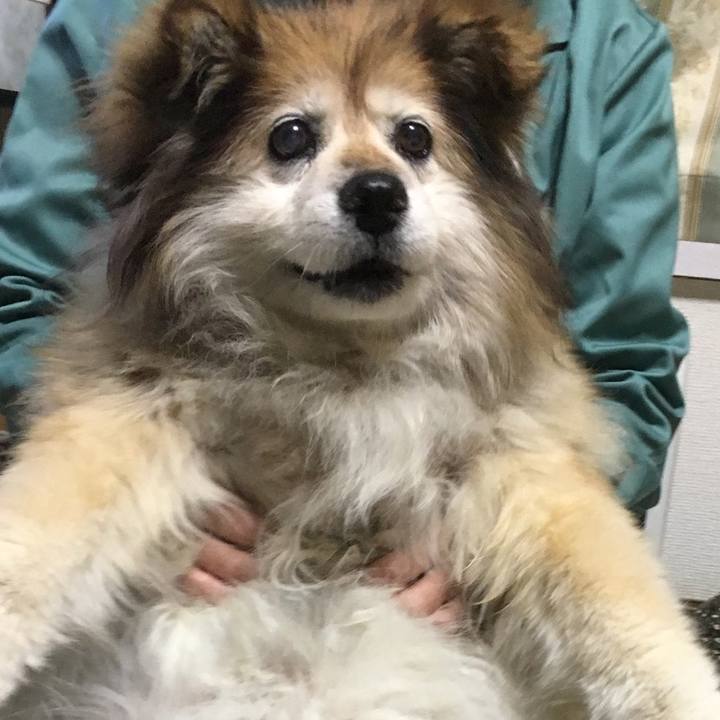 E082b69d 932f 4fdd bb43 3919bde8fe28 1593105474418