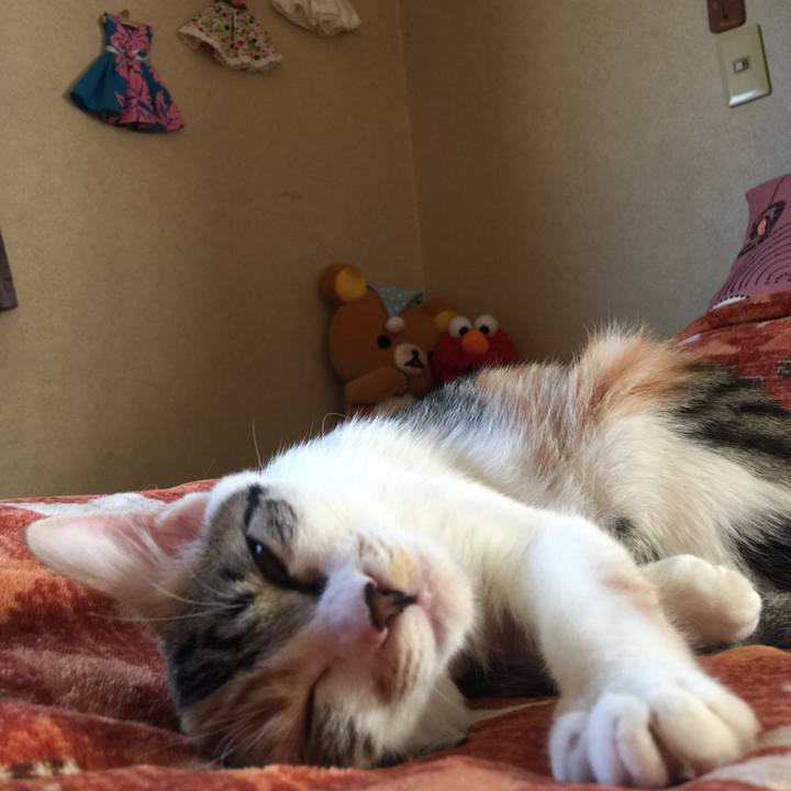 E082c044 be14 4f25 a4ae 6a92ceb20c49 1637322920828