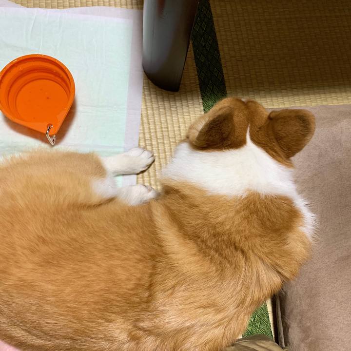 E082d8e2 f046 453c 9178 db1d64820972 1567073979471