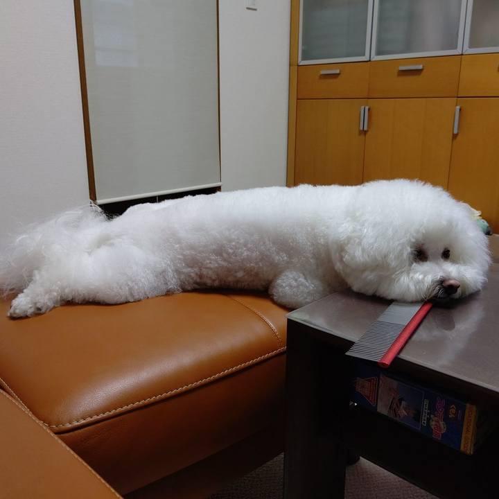 E0831a93 41cf 4195 b7d0 54cbaa9645e8 1625139961052