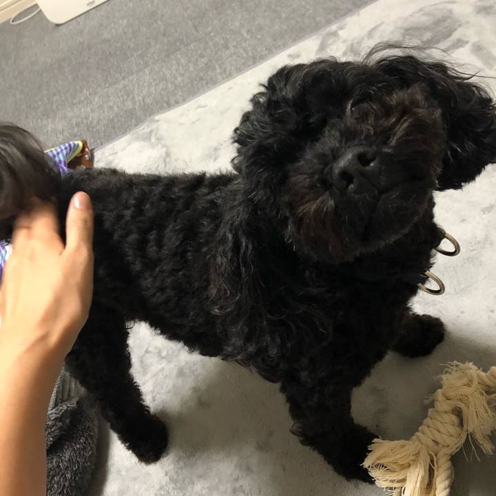 E08352b3 303a 4a0f a101 9e2c6f82c6d6 1592101587126