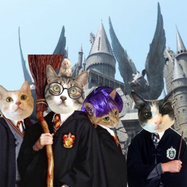 E08372fa ef4f 41e2 945c a2128c82bb70 1563794457752