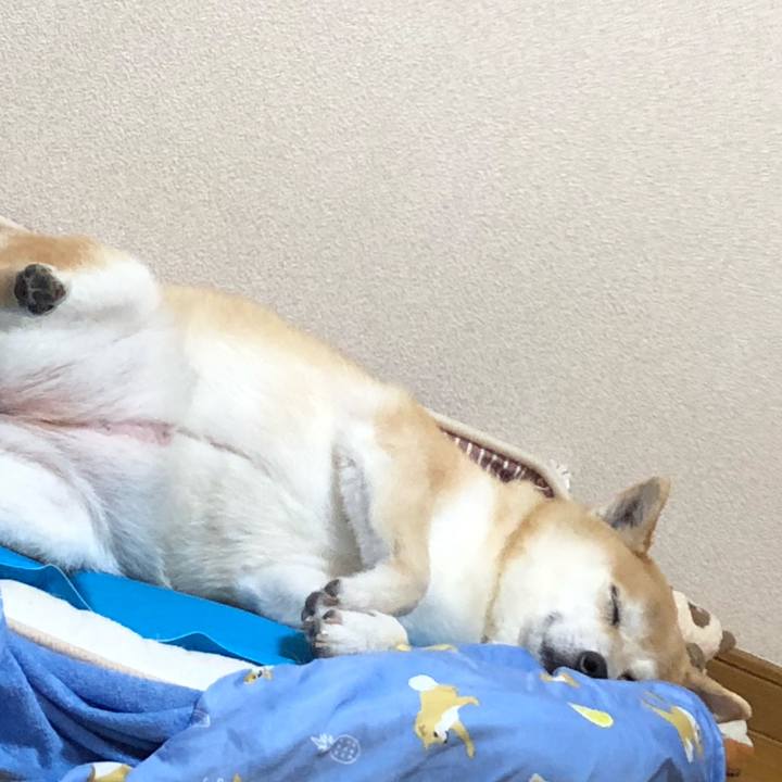 E08394ad c418 45b3 b05b d33ffbbd176d 1592802515417