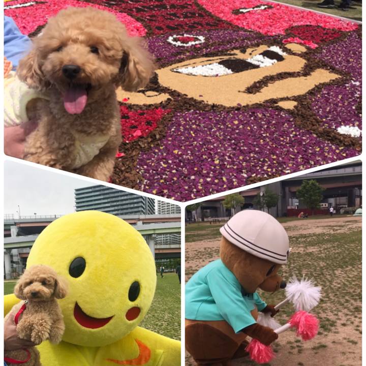 E083d153 2b69 4edb a334 2dd954974b04 1556437008791