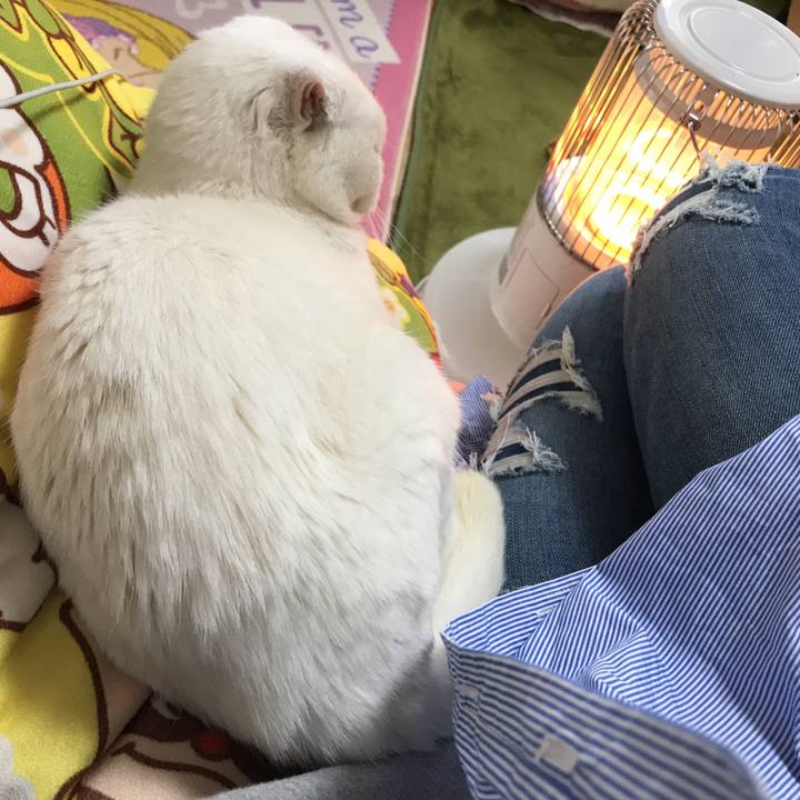 E083e1c5 1718 400a 95b4 2bc77d403057 1522894032597