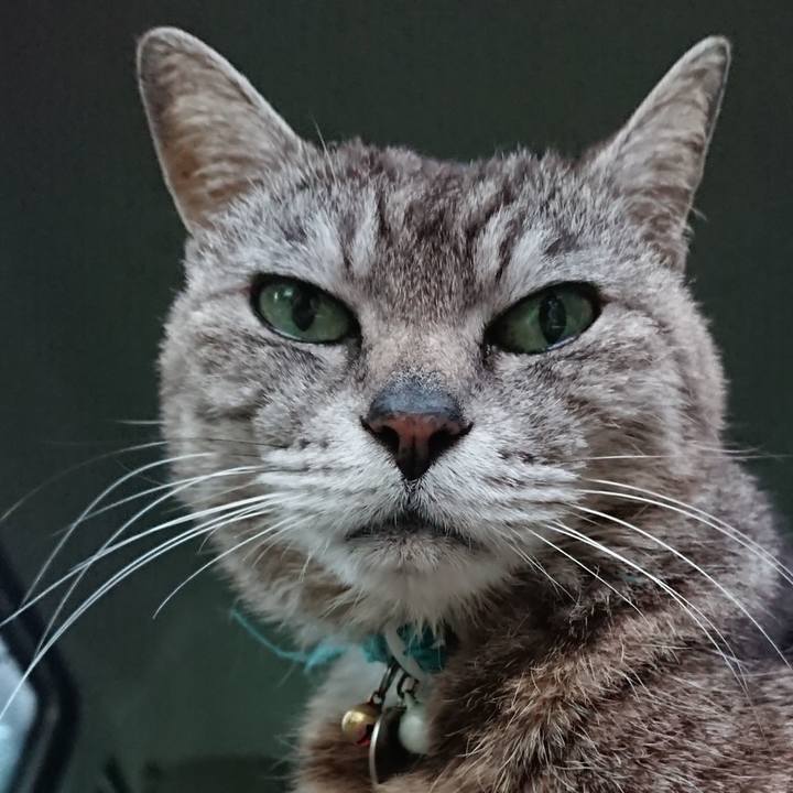 E083efc2 7bfb 4949 a3a0 ac7c246a87cc 1561628934146