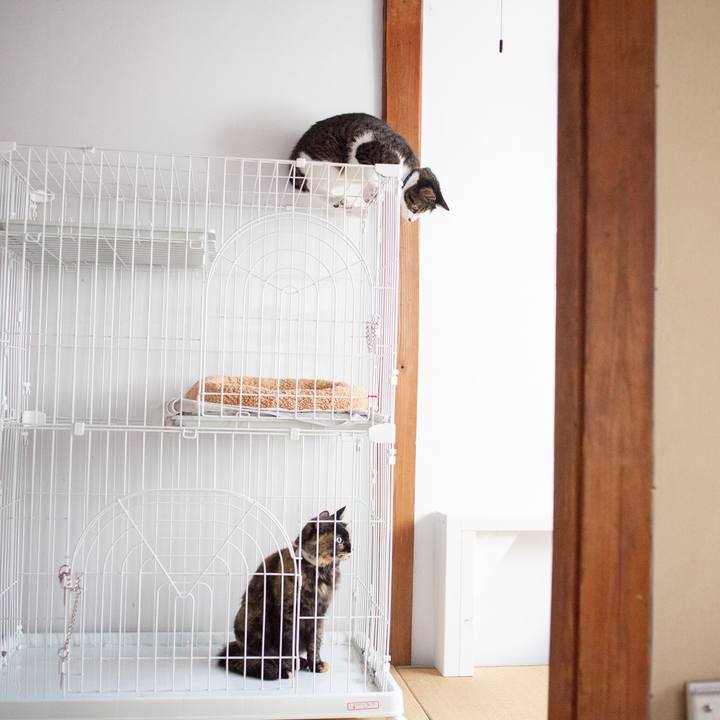 E08407a5 5f5f 4272 bf5b 1cf428cccfae 1573998087007