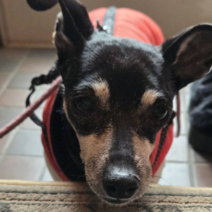 E0843ea9 02c2 4477 a900 c23f8c113d7e 1772081580503