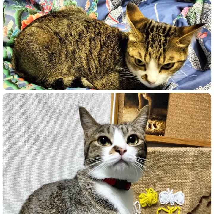 E084bf6a a3aa 4004 aaf7 a456e56a81b5 1702938289721