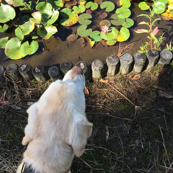 E084c21e 9a68 4ba2 ac26 5fb6d6daa41c 1537930146913