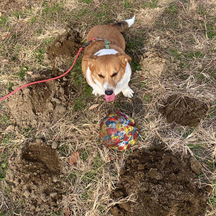 E084df9b fa07 449b bd3f e1a4a1c100bc 1766110837986