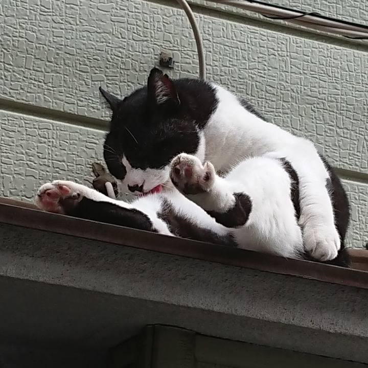 E084e3de 9bbc 4d5d 9c67 2004223bdbc4 1696900285111