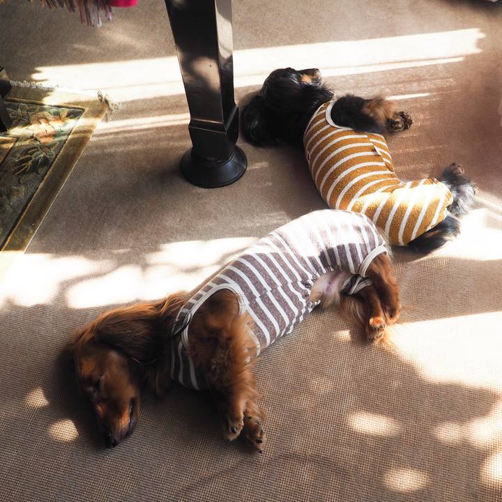 E084faa8 20a5 4ff5 bc5d 4809b7a7178d 1760665334985