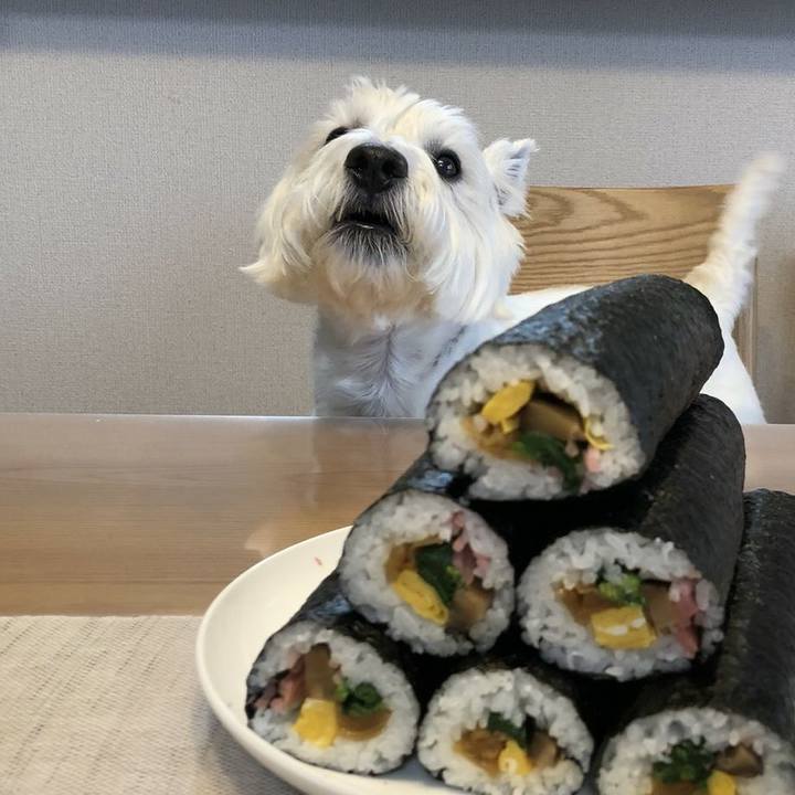 E08504ab a87c 43a1 b82a 4726c86e4c81 1517646248578