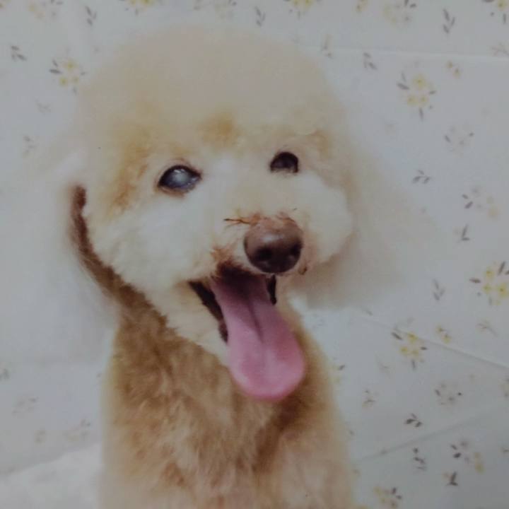 E08521ad 333d 4267 abec 9955f1fa606d 1694134874722