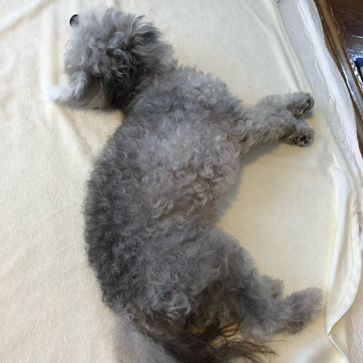 E0854122 e785 4156 ac35 2d2ee406f0c2 1596413173814