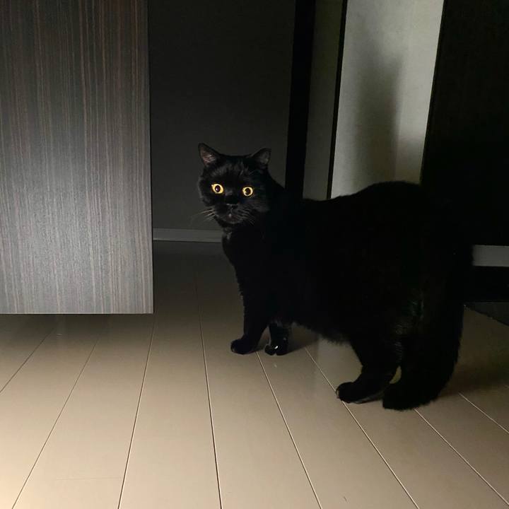 E0854529 2b5c 433f 999f 286070904aba 1602337235039